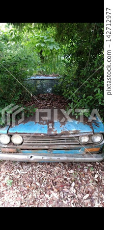 一輛被植被覆蓋的經典日產達特桑 | 一輛昭和時代的汽車,被遺棄多年 一輛被植被覆蓋的經典日產達特桑 | 一輛昭和時代的汽車,被遺棄多年 142712977