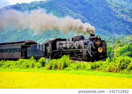 山口號蒸氣機車駛過金色的稻田。 山口號蒸氣機車駛過金色的稻田。 142712982