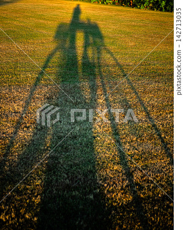 公園裡的步道被夕陽照亮 公園裡的步道被夕陽照亮 142713035