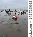 A woman searches for shellfish during clam digging in Kisarazu, enjoying leisure activities on the tidal flats. 142713042