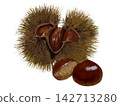 Chestnut (burr) brown 142713280