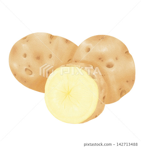 Half a potato painted in watercolor Half a potato painted in watercolor 142713488