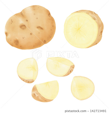 水彩畫描繪了兩種不同形狀的馬鈴薯切片。 142713491