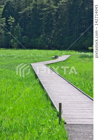 [Kurosawa Marshland] (Miyoshi City, Tokushima Prefecture) 142714045