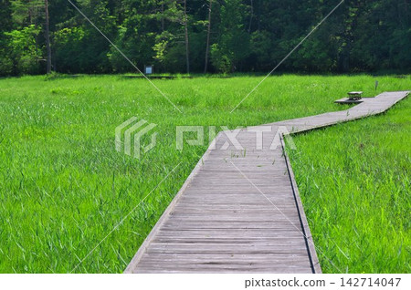 [Kurosawa Marshland] (Miyoshi City, Tokushima Prefecture) 142714047
