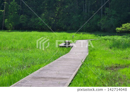 [Kurosawa Marshland] (Miyoshi City, Tokushima Prefecture) 142714048