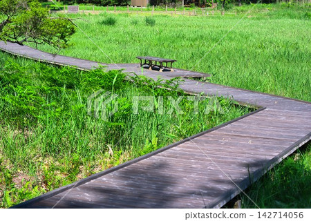 [Kurosawa Marshland] (Miyoshi City, Tokushima Prefecture) 142714056