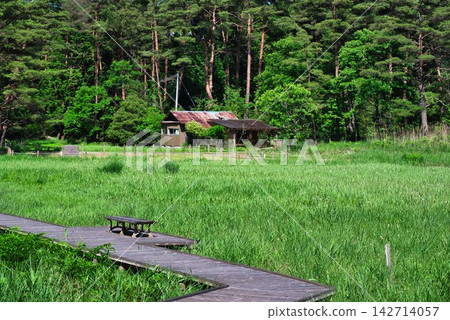 [Kurosawa Marshland] (Miyoshi City, Tokushima Prefecture) 142714057