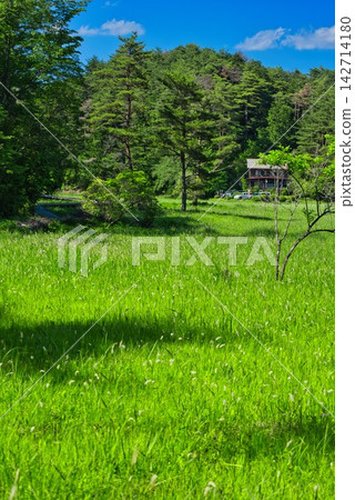 [Kurosawa Marshland] (Miyoshi City, Tokushima Prefecture) 142714180
