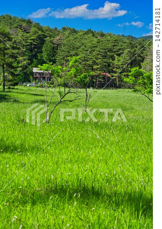 [黑澤濕地]（德島縣三好市） 142714181