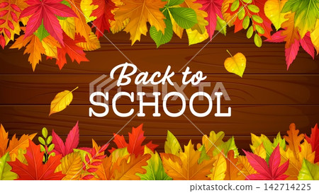 Back top school board banner with autumn season leaves on wooden background. Back to school chalk text for kids September education autumn banner with fall leaves of maple or oak and rowan foliage Back top school board banner with autumn season leaves on wooden background. Back to school chalk text for kids September education autumn banner with fall leaves of maple or oak and rowan foliage 142714225