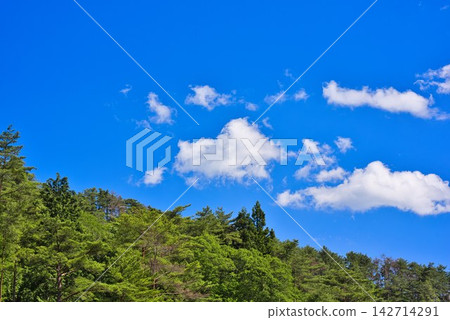 黑澤濕地上空的藍天(德島縣三好市) 黑澤濕地上空的藍天(德島縣三好市) 142714291