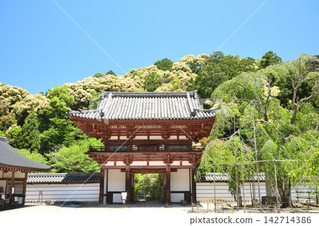 Amanoyama Kongoji Temple (Romon Gate) [Kawachinagano City, Osaka Prefecture] 142714386