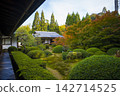 京都Unryuin寺的秋葉 142714525