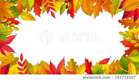 Autumn fall leaves frame background with season foliage for autumnal holiday banner. Bunch of bright forest leaves frame of maple or oak tree, rowan and willow foliage for autumn seasonal greeting Autumn fall leaves frame background with season foliage for autumnal holiday banner. Bunch of bright forest leaves frame of maple or oak tree, rowan and willow foliage for autumn seasonal greeting 142714587