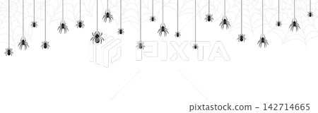 Spider border. Festive spider web and arachnid illustration. Halloween vector banners and dangerous holiday posters Spider border. Festive spider web and arachnid illustration. Halloween vector banners and dangerous holiday posters 142714665