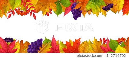 Fall season autumn leaves border frame and seasonal harvest berries. Color leaves and fruit borders banner of wild forest and garden trees, autumn foliage with grapes, acorns, barberries border frame Fall season autumn leaves border frame and seasonal harvest berries. Color leaves and fruit borders banner of wild forest and garden trees, autumn foliage with grapes, acorns, barberries border frame 142714702