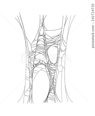 Halloween cartoon tangled cobweb or spiderweb net. Fall season holiday spooky cobweb thread, Halloween party scary spider web vector decor element. Horror celebration tangled sticky trap net Halloween cartoon tangled cobweb or spiderweb net. Fall season holiday spooky cobweb thread, Halloween party scary spider web vector decor element. Horror celebration tangled sticky trap net 142714710