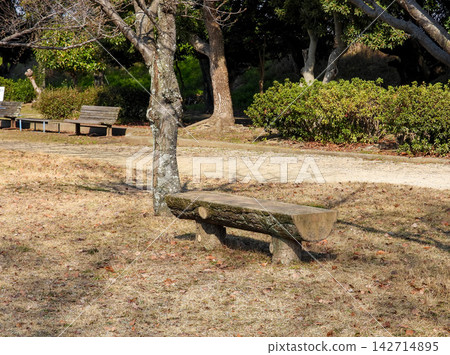 自然公園裡的一張簡易木椅 142714895