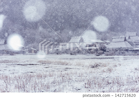 京都府南丹市美山町,白雪皚皚的茅草屋村莊,宛如民間傳說中的場景。 京都府南丹市美山町,白雪皚皚的茅草屋村莊,宛如民間傳說中的場景。 142715620