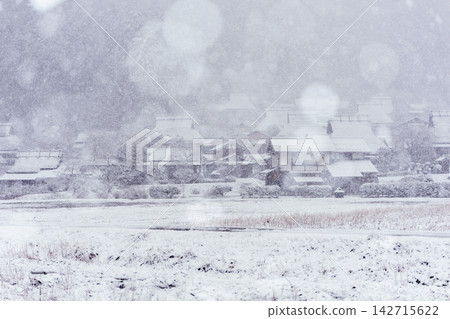 京都府南丹市美山町,白雪皚皚的茅草屋村莊,宛如民間傳說中的場景。 京都府南丹市美山町,白雪皚皚的茅草屋村莊,宛如民間傳說中的場景。 142715622