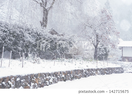 A snow-covered thatched village in Miyama-cho, Nantan City, Kyoto Prefecture, that looks like something out of a folktale. A snow-covered thatched village in Miyama-cho, Nantan City, Kyoto Prefecture, that looks like something out of a folktale. 142715675