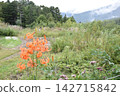 Sora Terrace: Lilies and Plateaus 142715842