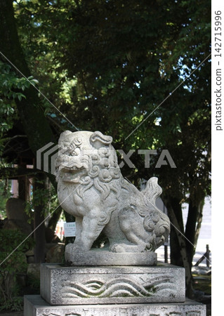 A guardian dog placed at a shrine A guardian dog placed at a shrine 142715996