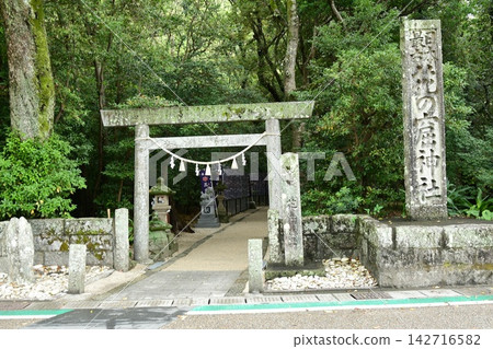 Flower cave god company Flower cave god company 142716582