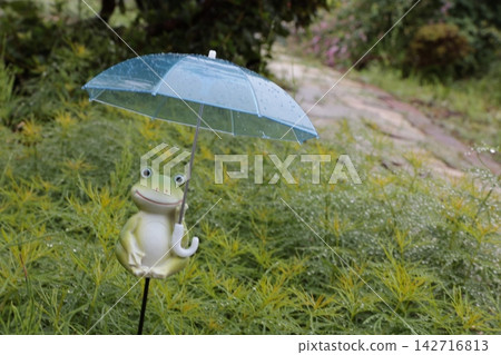 雨天撐傘的青蛙 雨天撐傘的青蛙 142716813