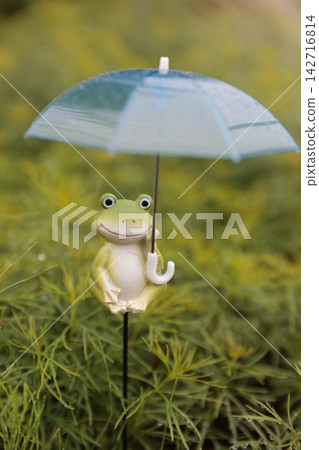 雨天撐傘的青蛙 雨天撐傘的青蛙 142716814