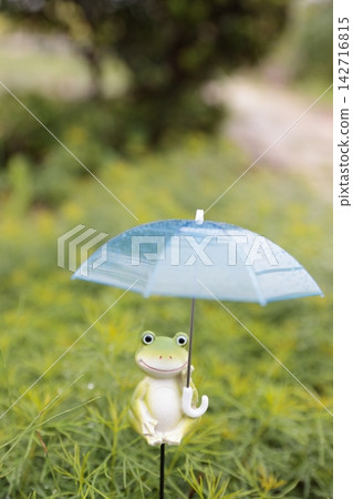 雨天撐傘的青蛙 雨天撐傘的青蛙 142716815