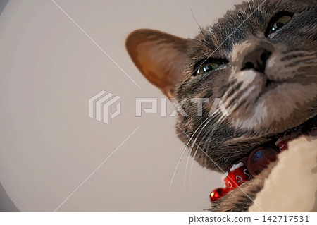 素描 風格 貓 貓 貓 kijitora 灰色 女 女 母貓 母貓 健康 漂亮 癒合 素描 風格 貓 貓 貓 kijitora 灰色 女 女 母貓 母貓 健康 漂亮 癒合 142717531