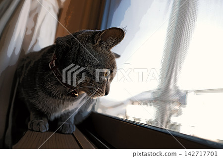 sketch style cat cat cat kijitora gray female female female cat female cat healthy pretty healing sketch style cat cat cat kijitora gray female female female cat female cat healthy pretty healing 142717701
