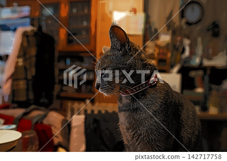 sketch style cat cat cat kijitora gray female female female cat female cat healthy pretty healing sketch style cat cat cat kijitora gray female female female cat female cat healthy pretty healing 142717758