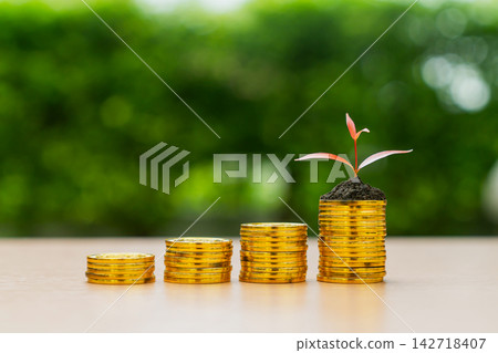 Growing plant on stack of gold coins with green background. Growing plant on stack of gold coins with green background. 142718407