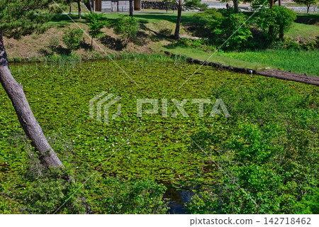 [Kurosawa Marshland] (Miyoshi City, Tokushima Prefecture) 142718462