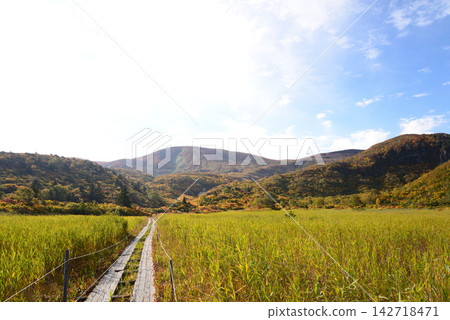 位於岩手縣一關市名薙原濕地的木棧道通往栗駒山絢麗多彩的秋色。 位於岩手縣一關市名薙原濕地的木棧道通往栗駒山絢麗多彩的秋色。 142718471