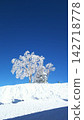 Frost-covered trees after a snowfall 142718778