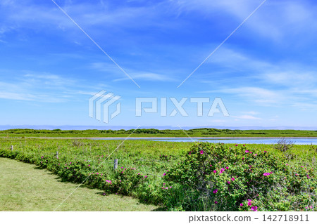 藍天小徑、東佐呂湖、和花野花花園 藍天小徑、東佐呂湖、和花野花花園 142718911