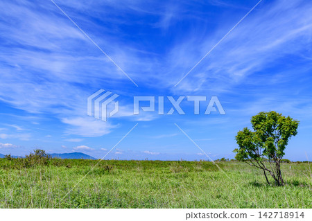 Blue Sky Path, Lake East Saroma, Wakka Wildflower Garden Blue Sky Path, Lake East Saroma, Wakka Wildflower Garden 142718914