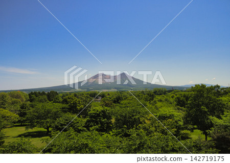 駒嶽山，在夏日的天空下熠熠生輝 142719175