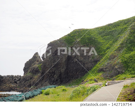 Scenery near Sumikai Cape on Rebun Island Scenery near Sumikai Cape on Rebun Island 142719754