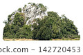 Rocky mountain peak covered with lush green trees and dense vegetation isolated. High resolution cliff and foliage cut out for landscape design and architectural compositing. 142720453