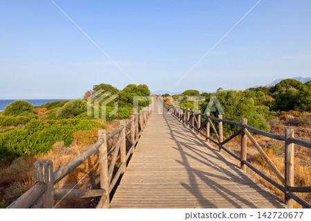 Wooden walkway leads through protected sand dunes covered with native coastal vegetation toward the Mediterranean shoreline in Cabopino, Spain Wooden walkway leads through protected sand dunes covered with native coastal vegetation toward the Mediterranean shoreline in Cabopino, Spain 142720677