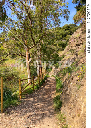 A winding hiking path leads to the historic fortress with walkable stone walls and sweeping panoramic city and coastal views in Malaga, Spain A winding hiking path leads to the historic fortress with walkable stone walls and sweeping panoramic city and coastal views in Malaga, Spain 142720739