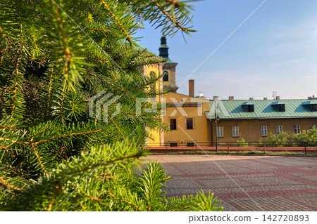 Cathedral of St. John the Baptist rising above historic rooftops and surrounding urban landscape in Przemysl, Poland Cathedral of St. John the Baptist rising above historic rooftops and surrounding urban landscape in Przemysl, Poland 142720893