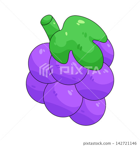 Illustration of grape Illustration of grape 142721146