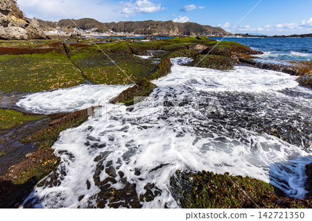 [Shizuoka Prefecture] Izu Peninsula Geopark, Ebisu Island: Seaweed on Senjojiki 142721350