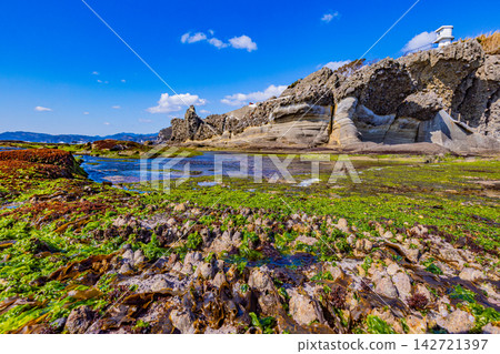 [Shizuoka Prefecture] Izu Peninsula Geopark, Ebisu Island: Barnacles and sea lettuce on Senjojiki 142721397
